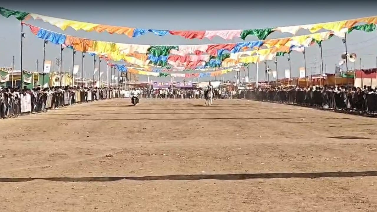 ही वेगवान घोडी मध्यप्रदेशातील महेश्वर येथील यादव स्टड फार्मची आहे आणि तिचे नाव राणी आहे. घोडा आणि बुलेटची शर्यत पाहण्यासाठी खूप लांबून लोक आले होते. लोकांनी रस्त्याच्या दुतर्फा गर्दी केली होती. प्रत्येकाला हा थरार आपल्या डोळ्यांनी पाहायचा होता.