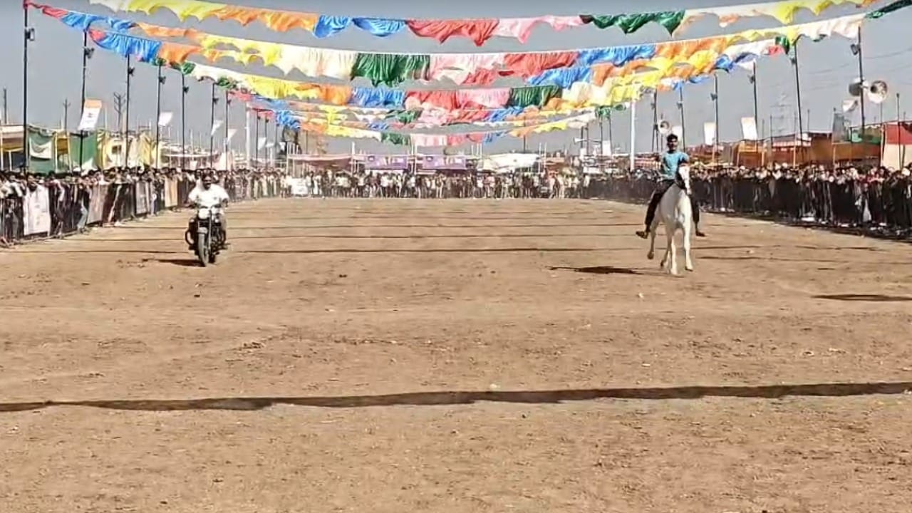 या स्पर्धांमध्ये जो घोडा जिंकतो, त्याची किंमत खूप जास्त वाढते. अनेक वेळा विजेत्या घोड्यांची विक्री लाखो आणि करोडो रुपयांमध्ये होते. त्यामुळे प्रत्येक घोडे मालक आपला घोडा जिंकावा यासाठी खूप मेहनत घेतो.