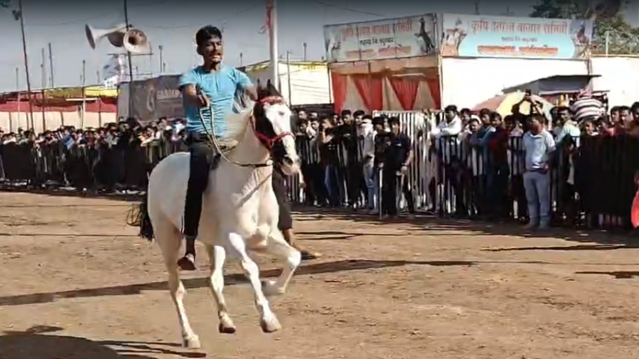 या शर्यतीत राणी घोडीने बुलेट मोटरसायकलला मागे टाकून जिंकण्याचा मान मिळवला. यामुळे घोडी मालकाचा आणि उपस्थित लोकांचा आनंद गगनात मावेनासा झाला.