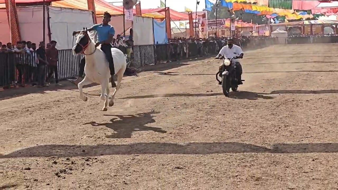 घोडे मालकांना त्यांच्या घोड्याचा वेग किती आहे हे बुलेटच्या वेगाशी तुलना करून पाहायचे होते. त्यामुळे त्यांनी आयोजकांना तशी विनंती केली. त्यानंतर ही खास शर्यत आयोजित झाली.