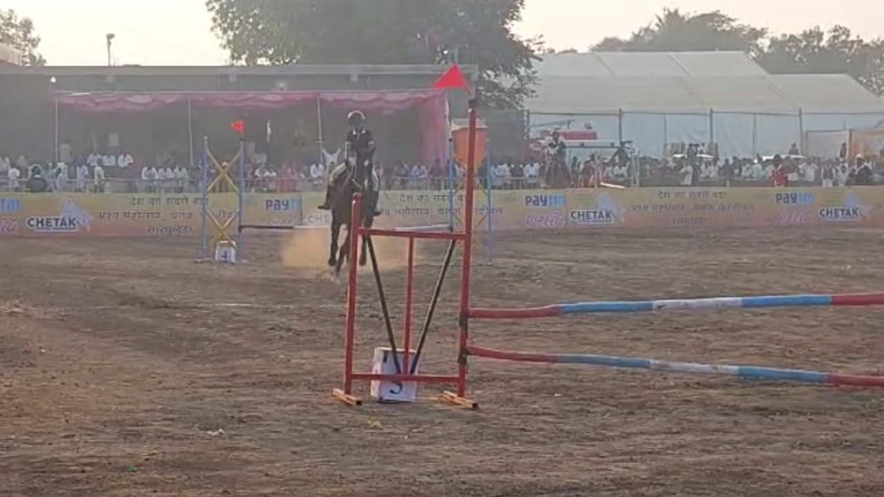 त्यानंतर आज रेवाल चाल - घोड्याच्या विशिष्ट चालण्याची स्पर्धा, उद्या अश्व नृत्य - घोड्याच्या नाचण्याची आणि कला दाखवण्याची स्पर्धा आणि परवा नुकरा अश्व स्पर्धा खास जातीच्या घोड्यांची स्पर्धा आणि इतर स्पर्धा पार पडणार आहे. या स्पर्धांमुळे सारंगखेड्याच्या बाजारात खरेदी-विक्रीचा व्यवहार मोठ्या प्रमाणावर वाढणार आहे.