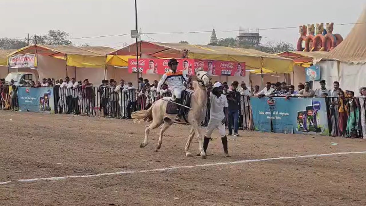 सारंगखेडाचा जगात प्रसिद्ध असलेला घोडे बाजार नुकताच सुरू झाला आहे. या बाजारात दरवर्षी घोड्यांचे अनेक कार्यक्रम आणि स्पर्धा होतात. यंदा या ठिकाणी घोडा आणि बुलेट मोटरसायकल यांच्यात एक अनोखी शर्यत रंगली.