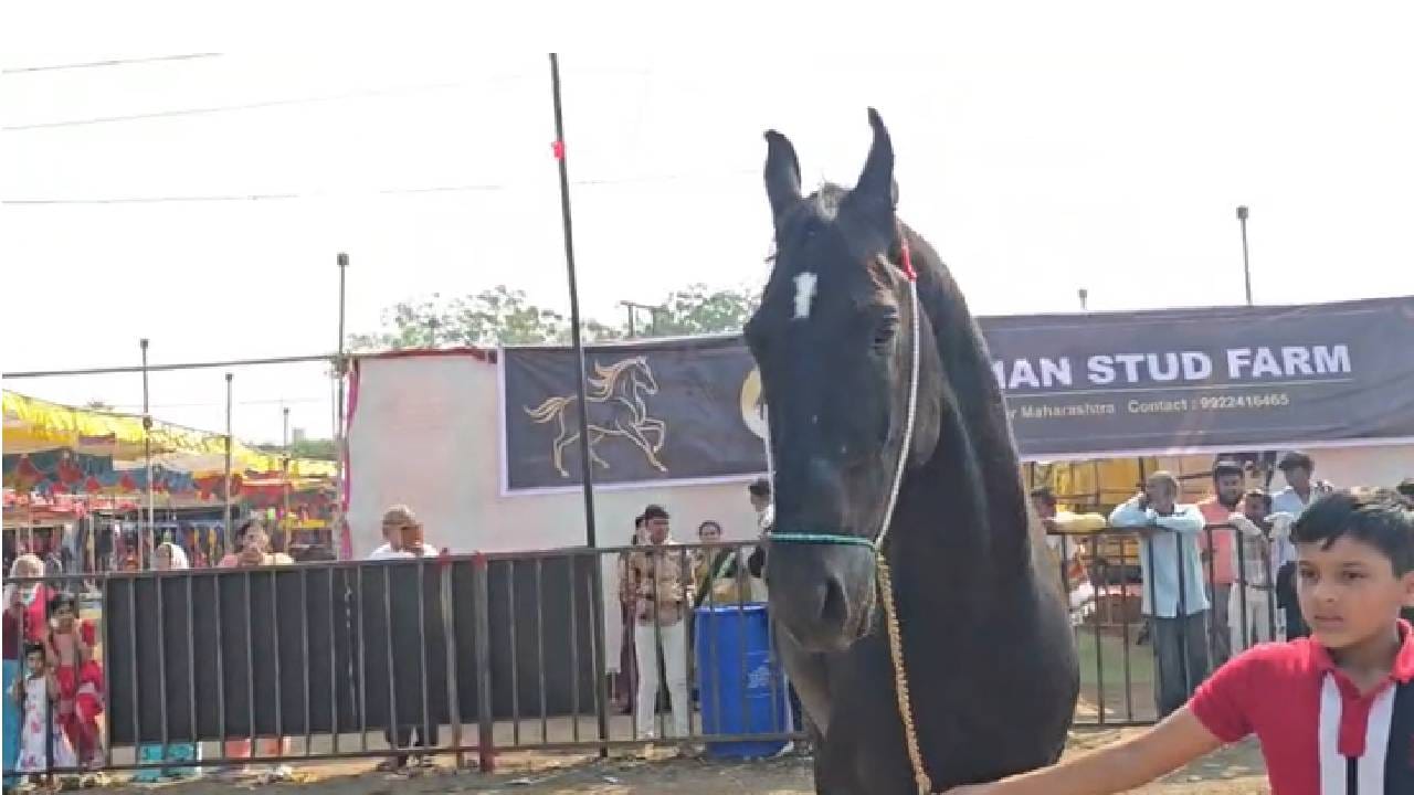 यात्रा आता शेवटच्या टप्प्यात आली असल्याने ही आर्थिक उलाढाल पाच कोटी  रुपयांचा टप्पा पार करेल असा आयोजकांना विश्वास आहे. 