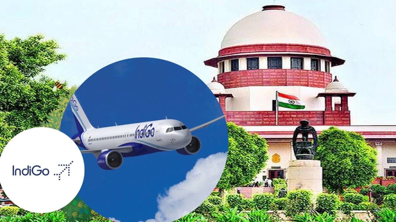 IndiGo Airlines Row: ...ते आमचं काम नाही, सुप्रीम कोर्टानं 'इंडिगो'ला फटकारलं अन् केंद्राला दिले थेट निर्देश