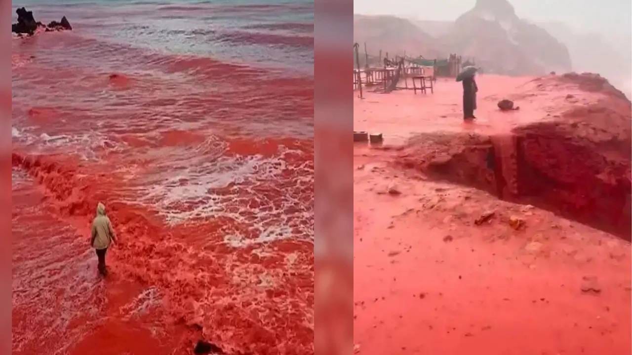 'या' देशात पडतोय 'रक्ताचा पाऊस' ? लाल समुद्रकिनाऱ्याचं रहस्य काय ? 'या' देशात पडतोय 'रक्ताचा पाऊस' ? लाल समुद्रकिनाऱ्याचं रहस्य काय ?