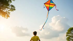 लाहोरमध्ये 25 वर्षांनंतर पतंग उडवायला परवानगी, बंदी का घातली होती?