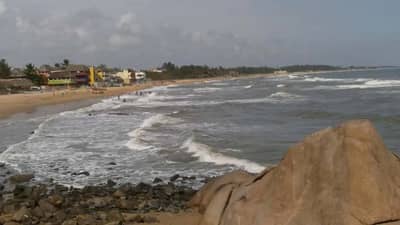 हॉटेल्स फुल्ल, रस्ते जाम...; नवीन वर्षाच्या सेलिब्रेशनसाठी मुंबईकरांची या ठिकाणाला पसंती, कारण...