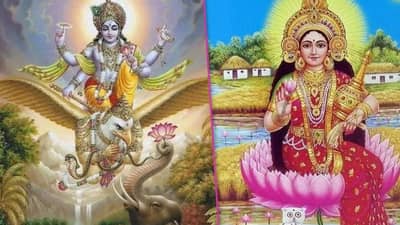 Vastu Shastra : घरात लक्ष्मी, विष्णू कमळ का लावावे? जाणून घ्या वास्तुशास्त्र काय सांगतं?