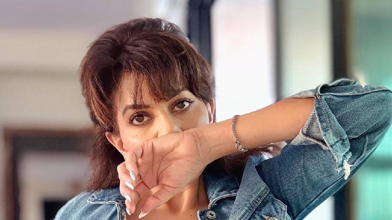 स्टार प्रवाह वाहिनीवरील 'सुख म्हणजे नक्की काय असतं' या मालिकेतील शालिनी या पात्राची सर्वाधिक चर्चा झाली. सुप्रसिद्ध अभिनेत्री माधवी निमकरने ही व्यक्तिरेखा अक्षरश: जिवंत केली. खलनायिका म्हटलं की शालिनी आपसूकच डोळ्यासमोर उभी राहते.