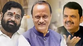 भटक्या कुत्र्यांवरून विधानसभेत राडा, सरकार घेणार मोठा निर्णय, काय घडलं.