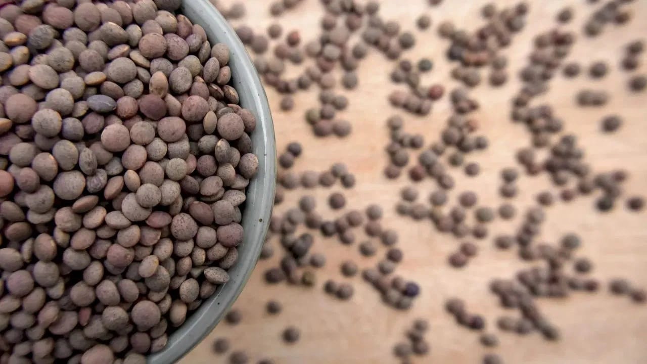 मसूर मांसाहारी का मानली जाते? समुद्रमंथनाच्या कथेमध्ये दडलंय याचं रहस्य.... मसूर मांसाहारी का मानली जाते? समुद्रमंथनाच्या कथेमध्ये दडलंय याचं रहस्य....