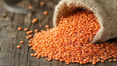 चिकन आणि मटणापेक्षा या डाळीमध्ये लपलाय Protein चा भंडार... जाणून घ्या Easy आणि Tasty रेसिपी