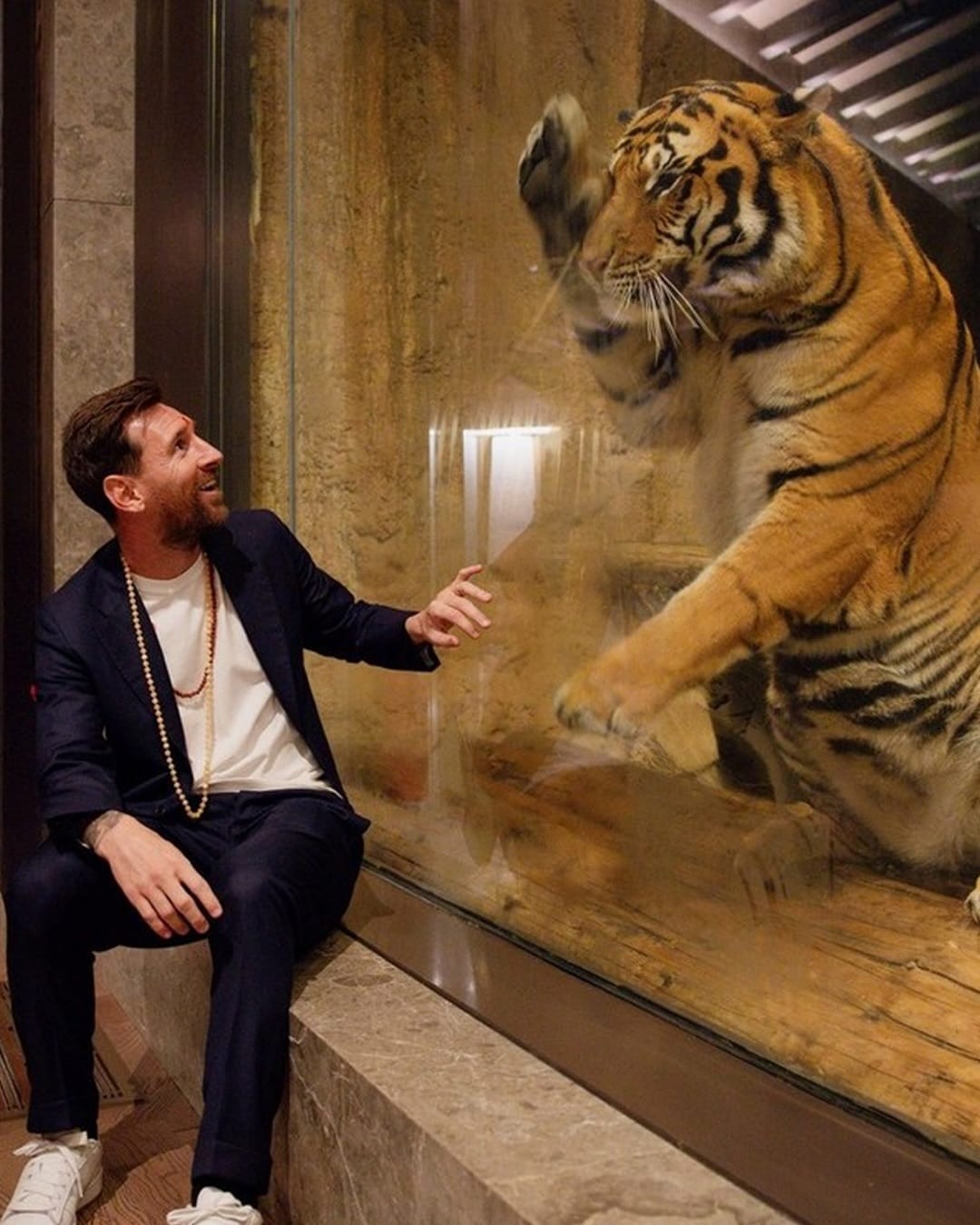 यावेळी त्याने आपल्या भावना व्यक्त केल्यात. वनतारा जे काही करत आहे, ते केवळ कौतुकास्पद नसून पृथ्वीसाठी अत्यंत सुंदर कार्य आहे, असे मेस्सीने म्हटले.