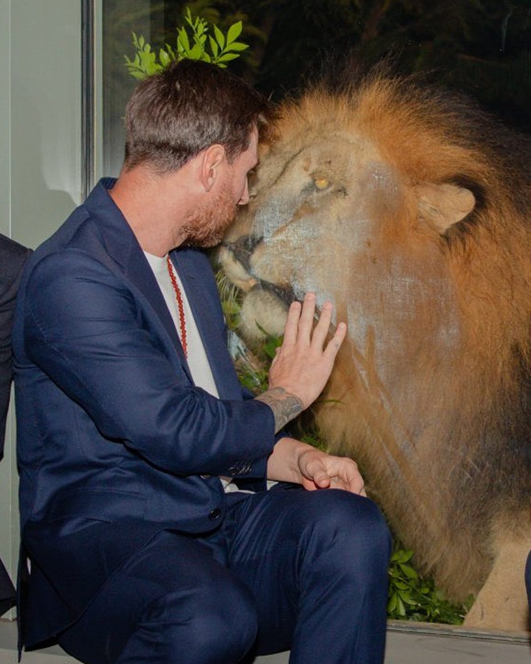 तिथे प्रत्यक्ष सुरू असलेली एक शस्त्रक्रिया पाहताना मेस्सीने वैज्ञानिकांशी आणि डॉक्टरांशी संवाद साधला.  वन्यजीव संवर्धनासाठी भारताने घेतलेली ही झेप पाहून त्याने पंतप्रधान नरेंद्र मोदी यांच्या दूरदृष्टीचे आणि अनंत अंबानींच्या समर्पणाचे कौतुक केले.