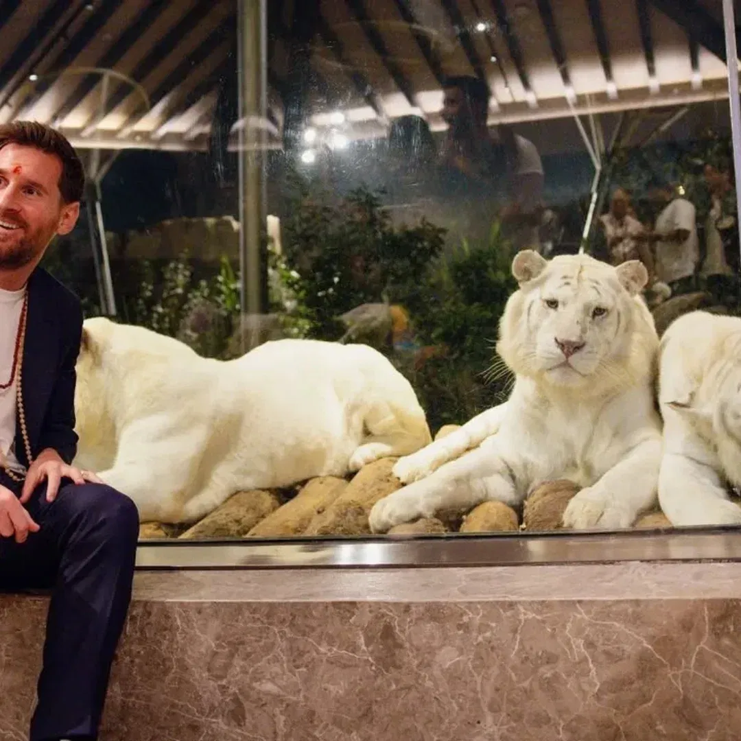 यावेळी सिंह, बिबट्या, वाघ आणि इतर प्राण्यांच्या संगोपन केंद्रात मेस्सीने या प्राण्यांबद्दल आस्थापूर्वक चौकशी केली. त्यानंतर त्यांनी हर्बिव्होर केअर सेंटर आणि रेप्टाइल केअर सेंटरला भेट दिली.