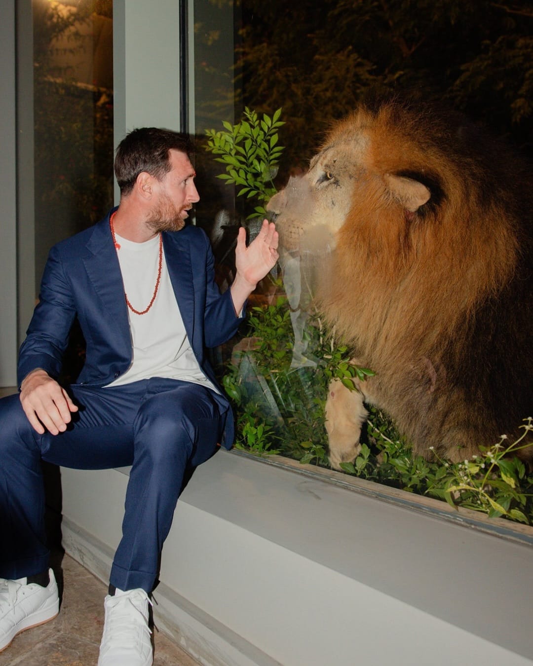 लिओनेल मेस्सी त्याच्या विशेष 'GOAT' (Greatest of All Time) टूर निमित्त भारतात आला होता. या दौऱ्यात त्याने कोलकाता, हैदराबाद, मुंबई आणि दिल्ली या शहरांना भेटी दिल्या. जामनगरच्या वनतारा भेटीने त्याने या दौऱ्याचा समारोप केला.