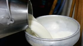 या हिवाळ्यात घरी बनवा 'हे' खास दूध पेय, जे तुम्हाला ठेवेल उबदार.