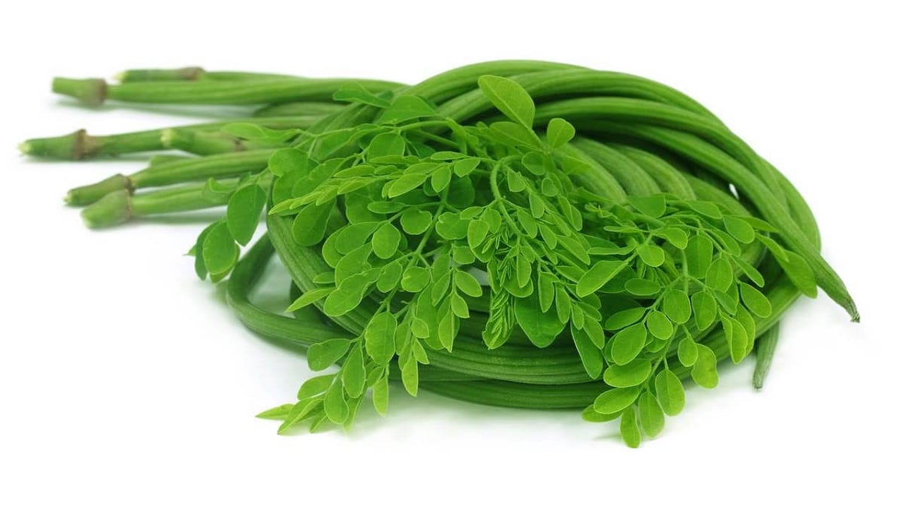 मोरिंग्याची भाजी खूप जास्त प्रमाणात रोज खाऊ नका. गर्भवती महिलांनी नियमित सेवनापूर्वी डॉक्टरांचा सल्ला घ्यावा. नेहमी ताजी व नीट शिजवलेली भाजी खावी