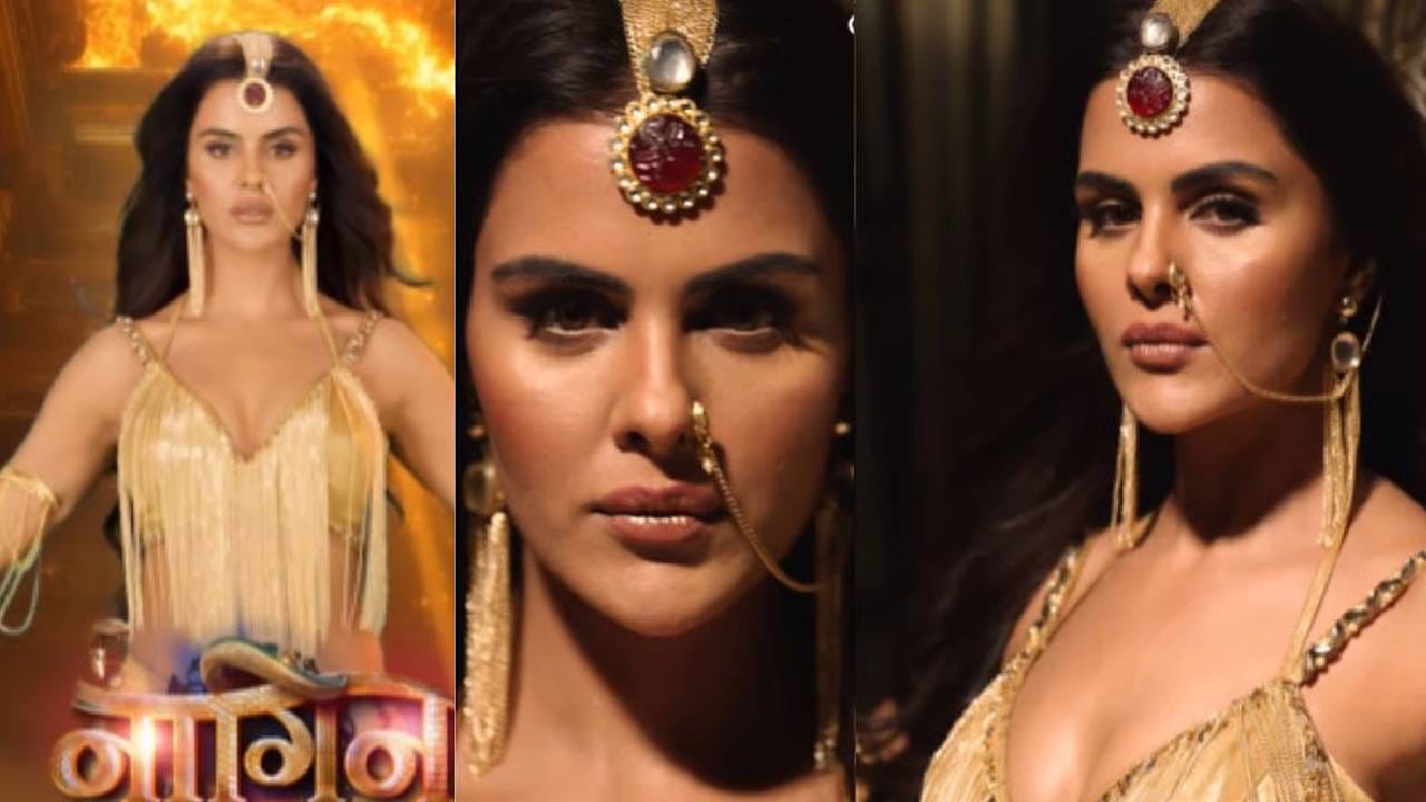 तसंच नव्या अपडेटनुसार आणखी एक अभिनेता या मालिकेमध्ये झळकणार आहे. हा अभिनेता टेलिव्हिजनवरील सर्वात प्रसिद्ध खलनायकांपैकी एक आहे. एकता कपूरने अद्याप 'नागिन 7'च्या सर्व कलाकारांची नावं जाहीर केलेली नाहीत.