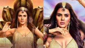 'क्योंकी सास भी कभी बहु थी'मधील खलनायकाची 'नागिन 7'मध्ये एण्ट्री; तुफान चर्चा