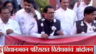 शेतकरी उपाशी, सरकार तूपाशी अन्…; गळ्यात कापसाची माळ विरोधक थेट विधानभवनात, मागण्या काय?