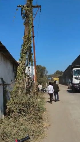 नागपूर पारडीत 5 नंबर नाक्याजवळ दिसला बिबट्या?