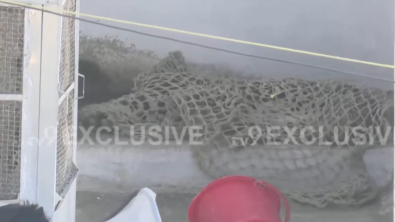 दरम्यान, नागपूर जिल्ह्यातील मौदा येथील परमात्मा आश्रम परिसरात गोठ्यात बांधलेल्या दोन जनावरांवर बिबट्याने हल्ला करून त्यांना ठार केल्याची माहिती समोर आली आहे. या घटनेमुळे मौदा परिसरातही भीतीचे वातावरण पसरले आहे. नागरिकांनी वन विभागाने बिबट्याच्या वावराचा तात्काळ बंदोबस्त करण्याची मागणी केली आहे.