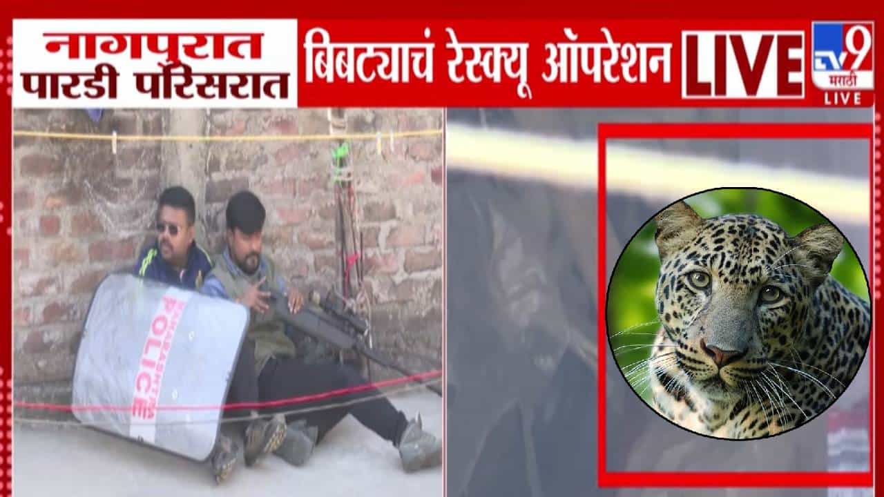 Nagpur Leopard Scare :  नागपूरच्या पारडी परिसरात बिबट्याचा थरार, जेरबंद करण्यासाठी असं सुरू वनविभाग अन् पोलिसांचे रेस्क्यू ऑपरेशन