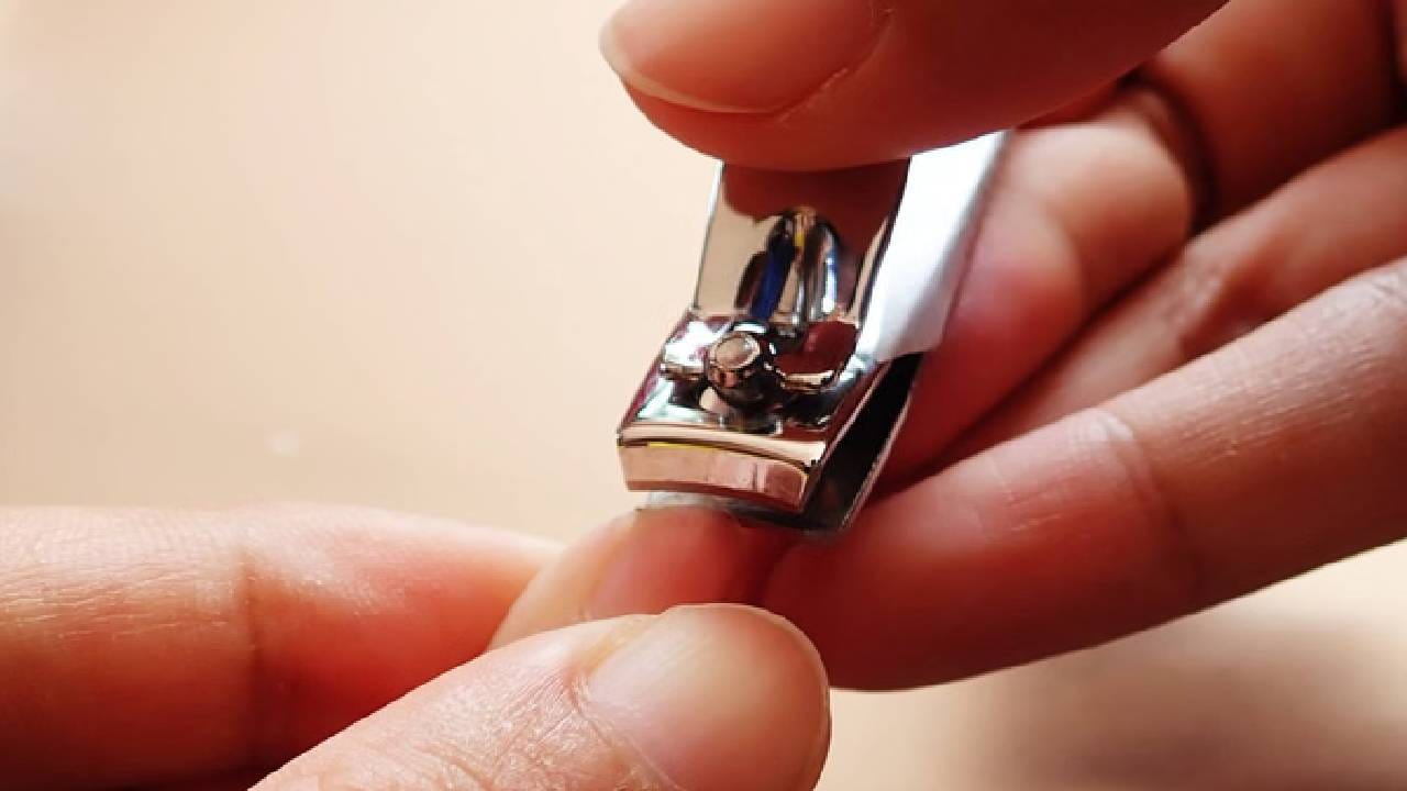 पुरुषांनी किती दिवसाने नखं कापावीत? प्रत्येक व्यक्तीने... पुरुषांनी किती दिवसाने नखं कापावीत? प्रत्येक व्यक्तीने...