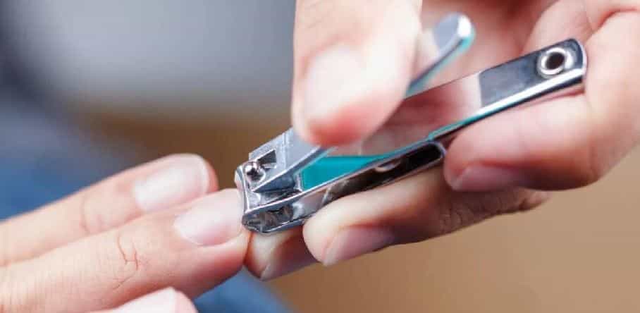 नेलकटर ही अशी वस्तू आहे, जी प्रत्येकाच्याच घरात असते. कारण ही वस्तू दिसायला छोटी असली तरीही ती फारच कामाची आहे. नेलकटरचा उपयोग प्रामुख्याने हात आणि पायाच्या बोटांचे नख कापण्यासाठी केला जातो.