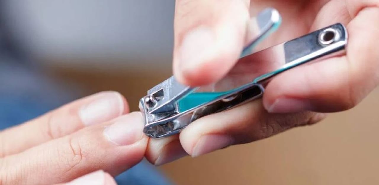 नेलकटर ही अशी वस्तू आहे, जी प्रत्येकाच्याच घरात असते. कारण ही वस्तू दिसायला छोटी असली तरीही ती फारच कामाची आहे. नेलकटरचा उपयोग प्रामुख्याने हात आणि पायाच्या बोटांचे नख कापण्यासाठी केला जातो.