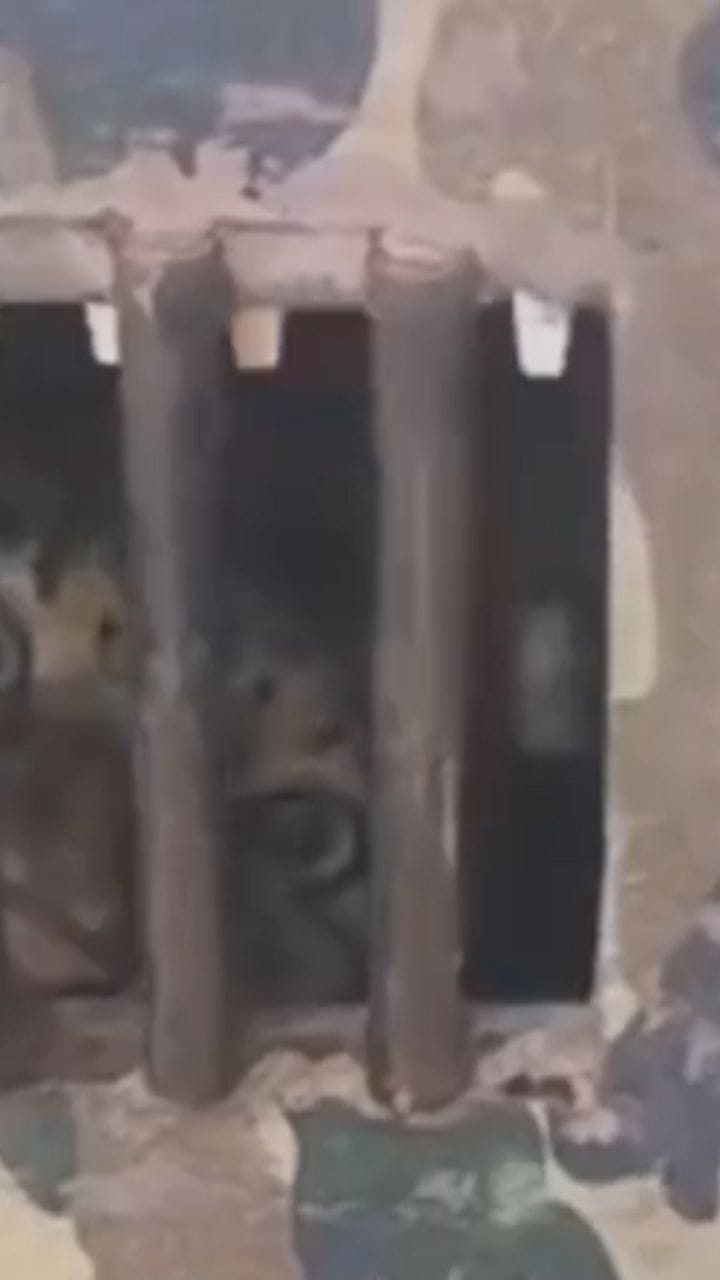 नाशिकच्या देवळात अखेर बिबट्या पिंजऱ्यात!