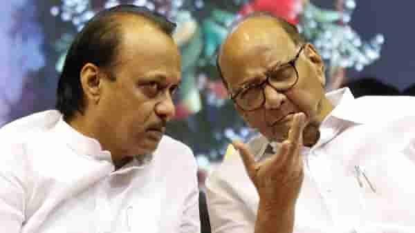 Pune NCP : अखेर ठरलं ! दोन्ही राष्ट्रवादी एकत्र, महापालिका निवडणुकीबाबत मोठी अपडेट समोर; इतिहास घडणार?