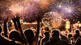 गोंगाट, पार्टी आवडत नाही का? नवीन वर्षाचा पहिला दिवस खास कसा बनवायचा?.