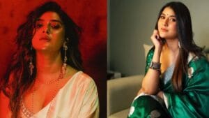 राष्ट्रीय पुरस्कार विजेती अभिनेत्री राजकारणात, राजकीय पक्षात प्रवेश