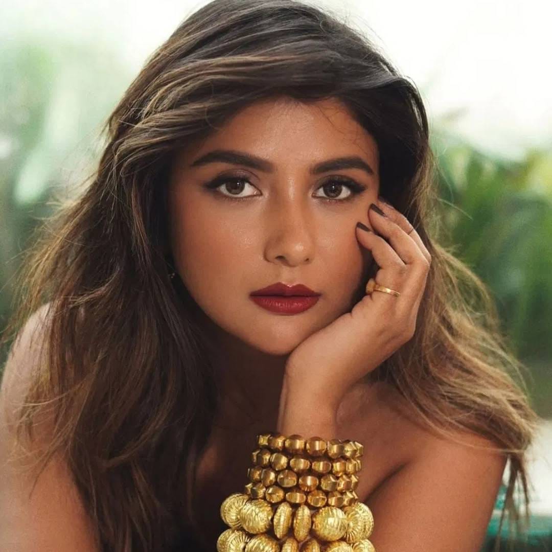 मोहनानंतर तिने बौ कोठा काओमध्ये काम केलं. त्यामध्ये सुद्धा तिने लीड रोल साकारला. टीव्ही मध्ये काम केल्यानंतर तिच्या फिल्मी प्रवासाला सुरुवात झाली. इंडस्ट्रीमध्ये तिला खास ओळख मिळाली. पार्नोने वर्ष 2012 मध्ये बंगाली फिल्म रंजना अमी अर अशबोनामध्ये काम केलं. या चित्रपटाला नॅशनल अवॉर्ड मिळाला. 