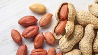 आहारामध्ये करा शेंगदाण्यांचा समावेश, आहेत फायदेच फायदे, जाणून घ्या…