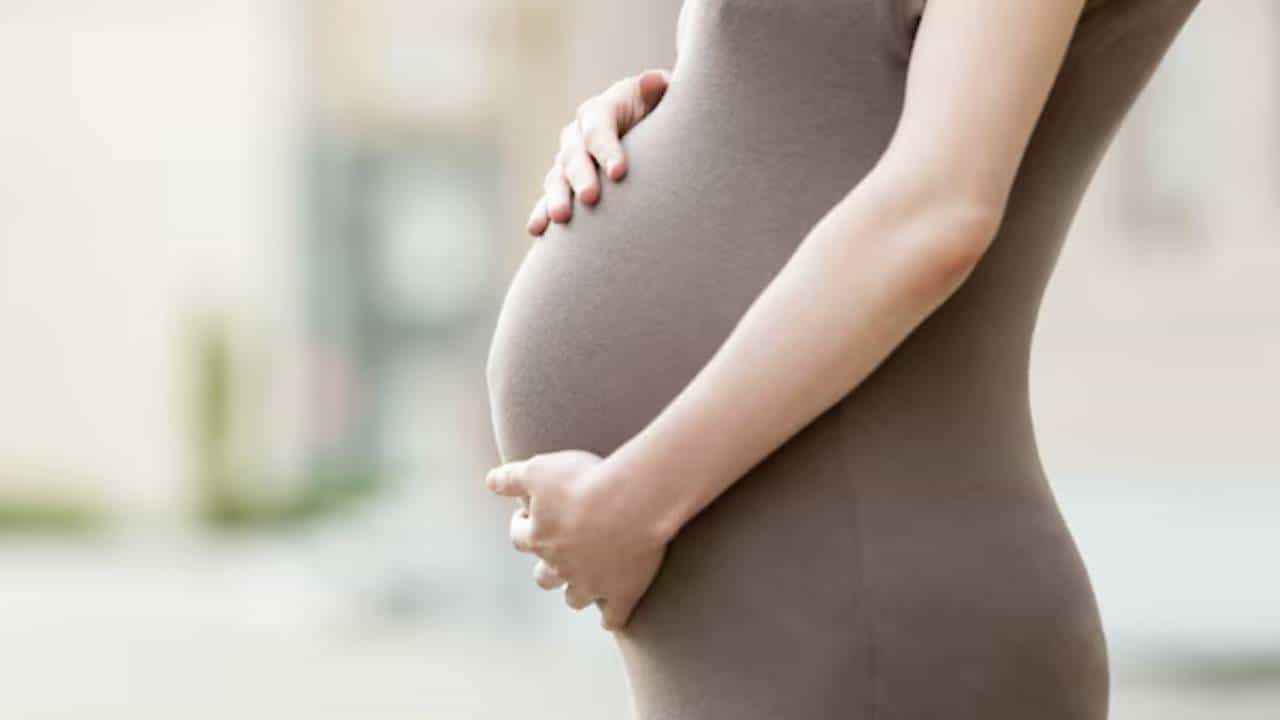 गरोदर महिलांना जर लोहाची कमतरता जाणवत असल्यास या बिया ठरू शकतात खूप फायदेशीर
