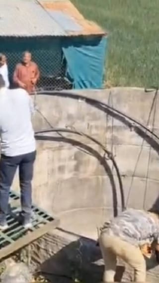 विहिरीत बिबट्याचे पिल्लू पडले, वनविभागाचे रेस्क्यू..