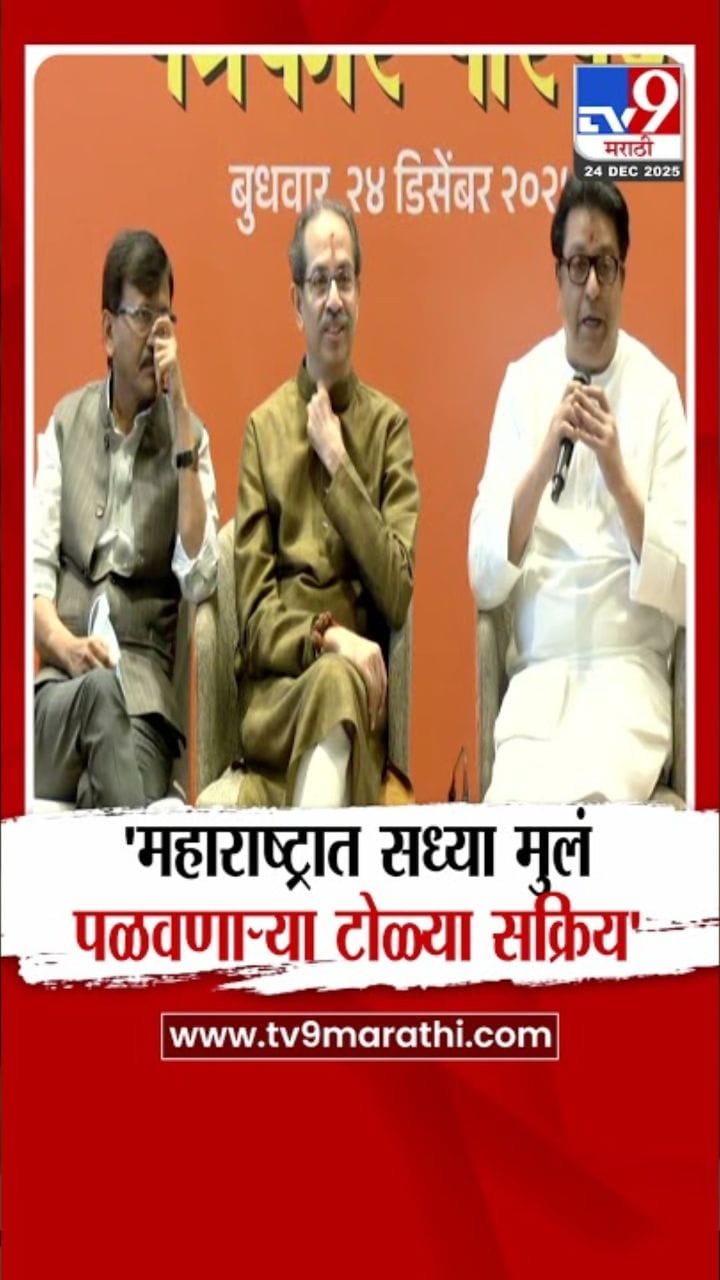 सध्या मुलं पळवणाऱ्या टोळ्या सक्रिय! राज ठाकरेंचा टोला