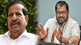 बिबट्यासाठी जंगलात बोकड सोडणार ही योजना...शेट्टींचा गणेश नाईकांचा टोला.