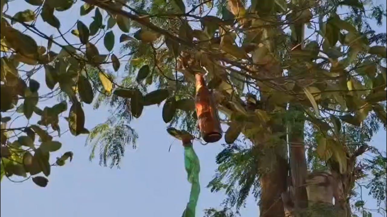 गेल्या काही दिवसांपासून ग्रामीण भागात बिबट्याचा वावर वाढला आहे. यामुळे शेतकरी आणि ग्रामस्थांमध्ये भीतीचे वातावरण आहे. वनविभागाचे प्रयत्न सुरू असले तरी, बिबट्याचे हल्ले थांबण्याचे नाव घेत नाहीत.