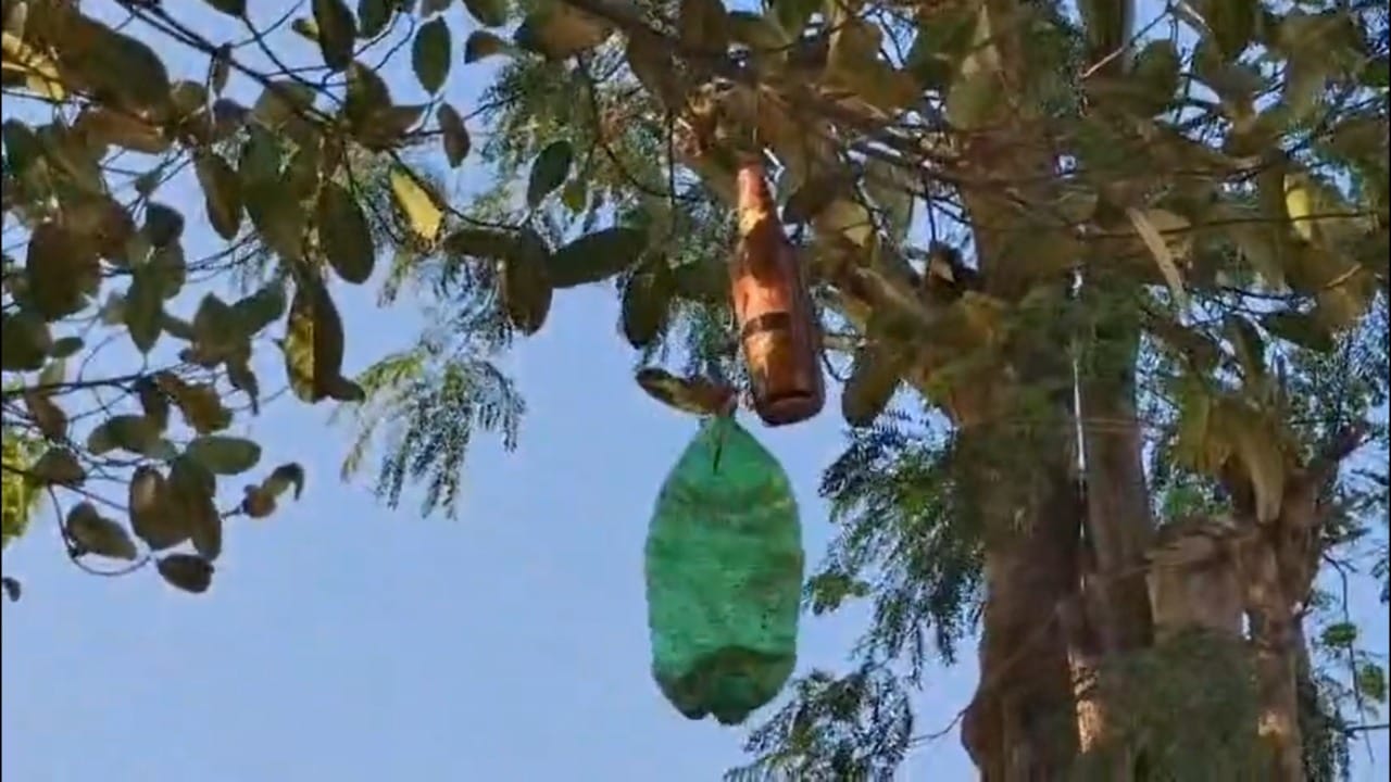 टाकाऊ वस्तूंपासून बनवलेले हे टिकाऊ सुरक्षा यंत्र सध्या कुरळपमधील इतर शेतकऱ्यांसाठी कुतूहलाचा विषय ठरले आहे. शासकीय मदतीची वाट न पाहता संकटावर कशी मात करता येते, याचे उत्तम उदाहरण सुधीर चव्हाण यांनी घालून दिले आहे अशा भावना परिसरातील ग्रामस्थ व्यक्त करत आहेत.