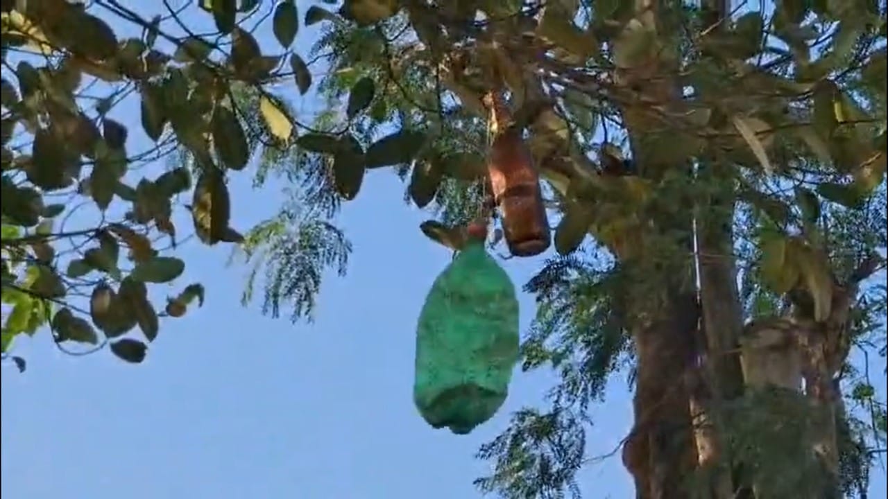 या बाटल्यांच्या आत त्यांनी नट-बोल्ट आणि प्लास्टिकच्या बाटल्यांचे तुकडे अशा प्रकारे अडकवले आहेत की, वाऱ्याची साधी झुळूक आली तरी त्यातून खुळखुळ असा मोठा आवाज येतो. काचेवर धातू आदळल्याने निर्माण होणारा हा ठराविक आवाज रात्रीच्या शांततेत खूप दूरपर्यंत जातो.