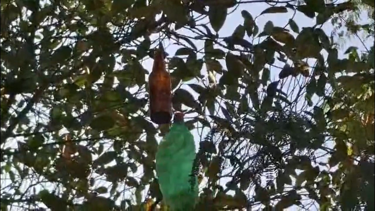 यामुळे बिबट्याला तिथे कोणीतरी असल्याची किंवा काहीतरी हालचाल सुरू असल्याची शंका येते आणि तो परिसराकडे फिरकत नाही. कोणत्याही महागड्या उपकरणाची किंवा विजेची गरज नसलेले हे यंत्र अत्यंत कमी खर्चात तयार झाले आहे.