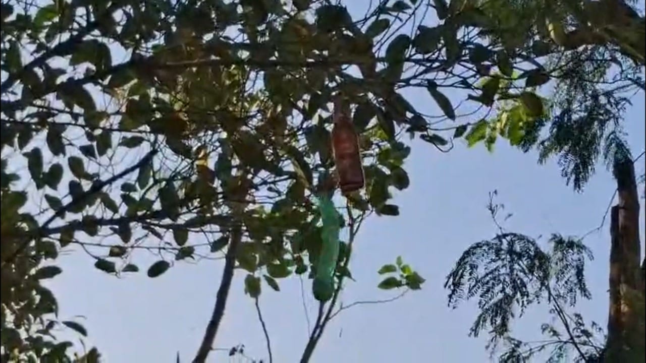 मात्र त्यांनी वनविभागाकडे तक्रार करण्यासोबतच स्वतः काहीतरी उपाययोजना करण्याचे ठरवले. त्यातूनच या ध्वनी यंत्राचा जन्म झाला. वन्यप्राणी, विशेषतः बिबट्या, हे मानवी हालचाल आणि आवाजाला घाबरतात. हाच धागा पकडून चव्हाण यांनी झाडाच्या फांद्यांवर बियरच्या रिकाम्या काचेच्या बाटल्या सुतळीच्या साहाय्याने टांगल्या आहेत.