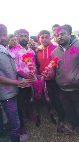 अबब! सांगलीतील या शेळीची किंमत १ लाख