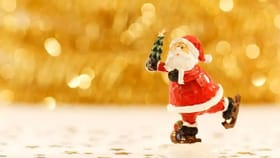 GK : सांताक्लॉजचा ड्रेस नेहमी लाल-पांढराच का असतो ?.