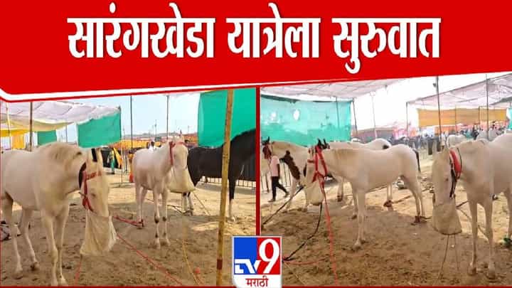 Sarangkheda Horse Fair : अश्वशौकिनांसाठी पर्वणी, ऐतिहासिक सारंगखेडा यात्रेला सुरूवात, कोट्यवधीच्या घोड्यांची विक्री अन् बरंच काही Sarangkheda Horse Fair : अश्वशौकिनांसाठी पर्वणी, ऐतिहासिक सारंगखेडा यात्रेला सुरूवात, कोट्यवधीच्या घोड्यांची विक्री अन् बरंच काही