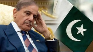 भारताने पाकिस्तानला किती रुपये कर्ज दिलं, नेमकं कशावर जगतो? सत्य काय?